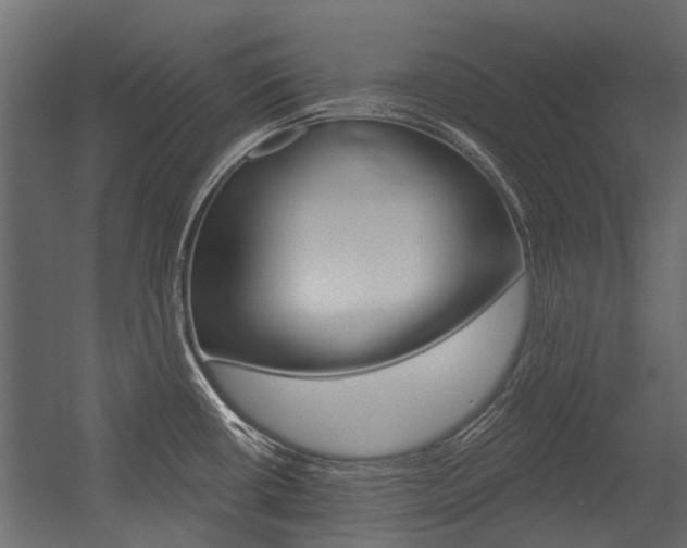 X0000054461434200507291010
