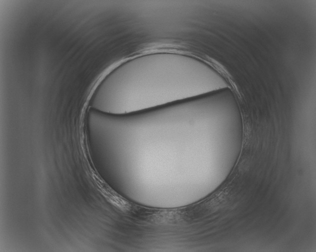X0000054461435200507291010