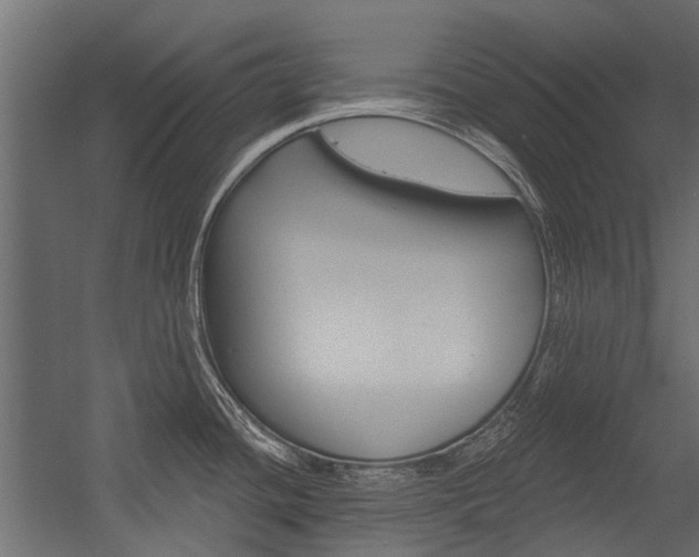 X0000054461436200507291010
