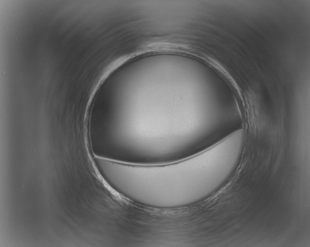 X0000054461437200507291010