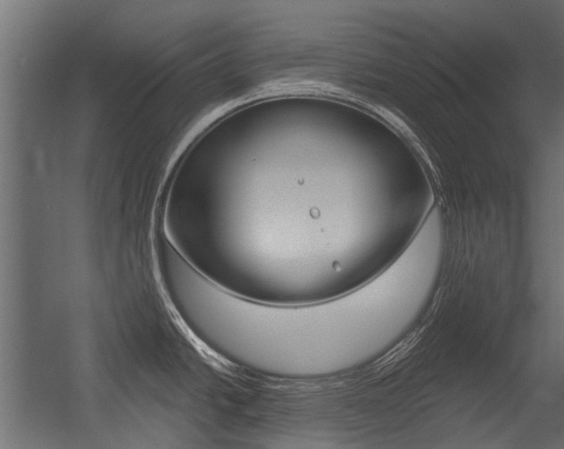 X0000054461438200507291010