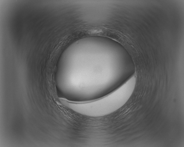 X0000054461441200507291009