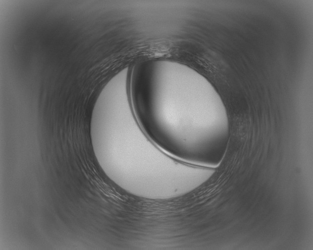 X0000054461442200507291009