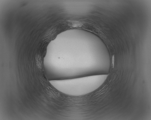 X0000054461443200507291009