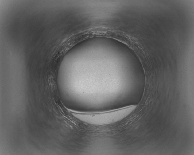 X0000054461445200507291009