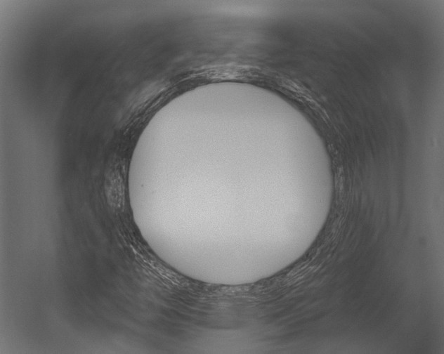 X0000054461446200507291009