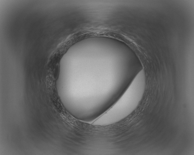 X0000054461447200507291009