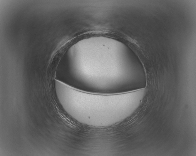 X0000054461448200507291009