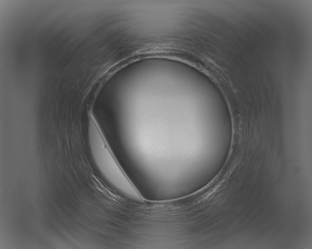 X0000054461449200507291009