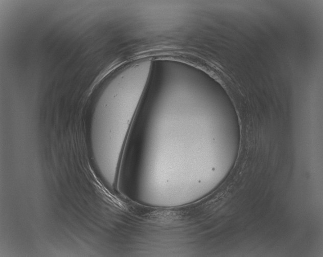 X0000054461450200507291009