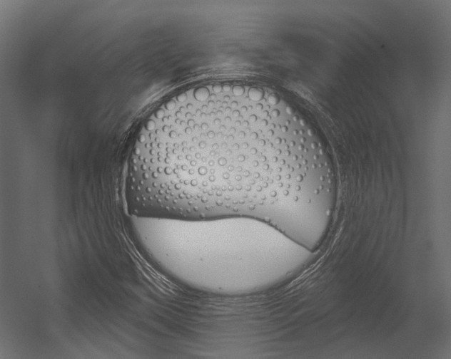 X0000054461451200507291009