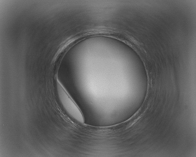 X0000054461453200507291009