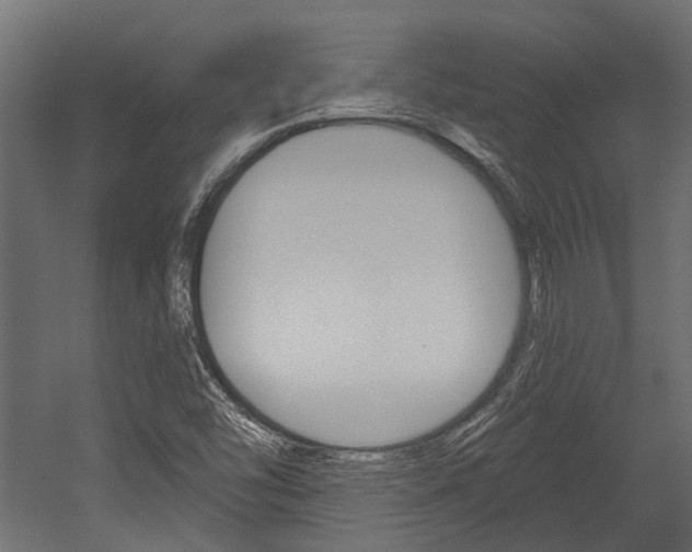 X0000054461454200507291009