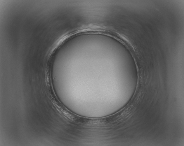 X0000054461455200507291009