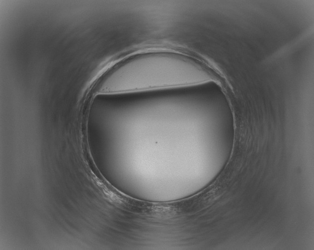 X0000054461456200507291009