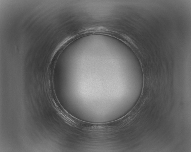 X0000054461458200507291009