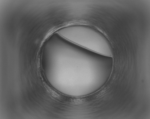 X0000054461459200507291009