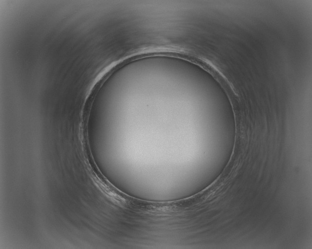 X0000054461460200507291009