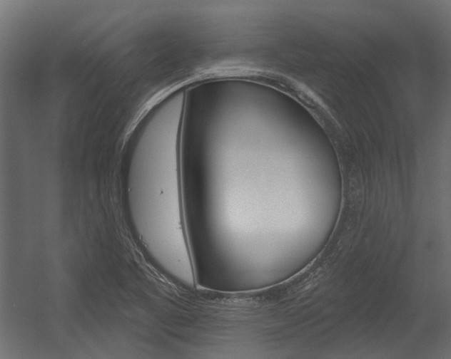 X0000054461461200507291009