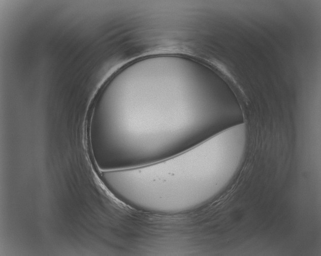 X0000054461468200507291008