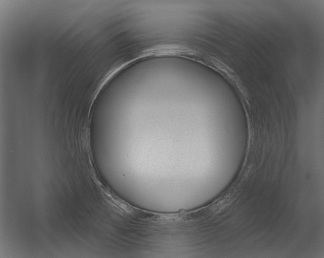 X0000054461473200507291008