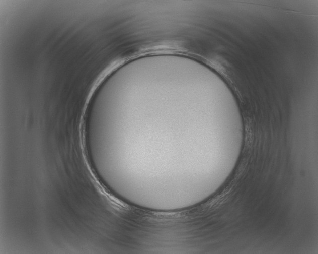 X0000054461474200507291008
