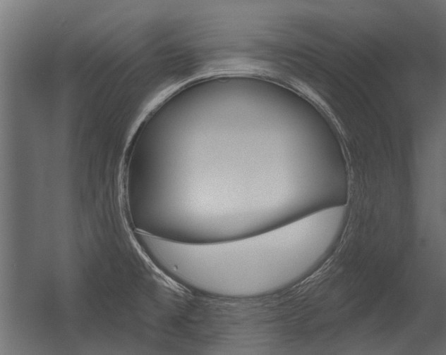 X0000054461477200507291008