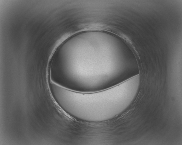 X0000054461480200507291008
