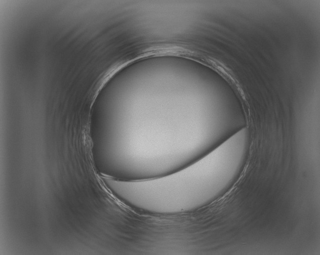 X0000054461481200507291008