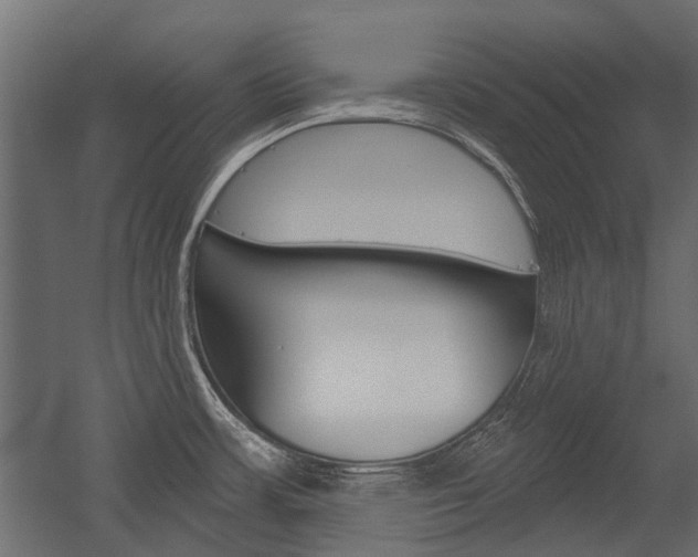 X0000054461483200507291008