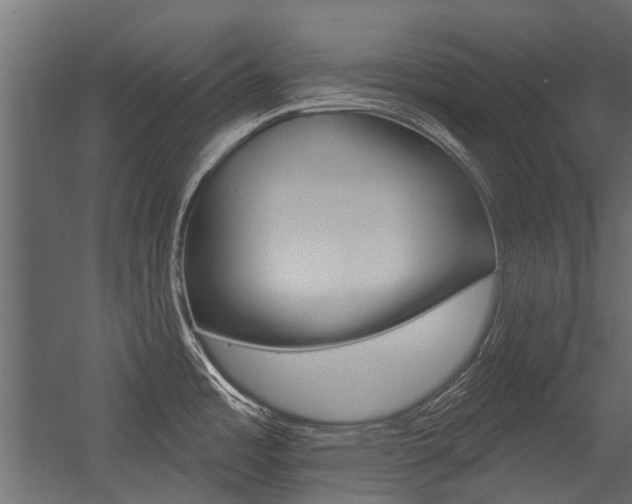 X0000054461485200507291008