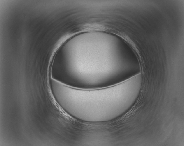 X0000054461488200507291008