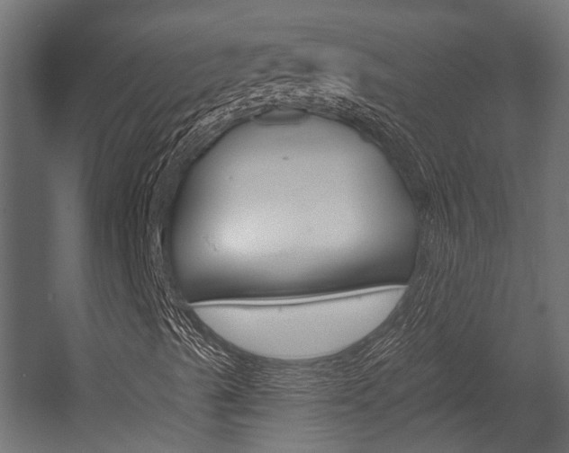 X0000054461489200507291007