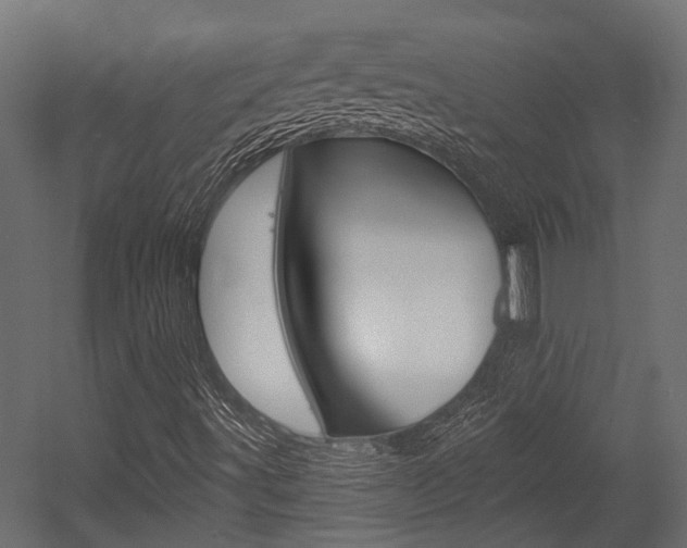 X0000054461491200507291007
