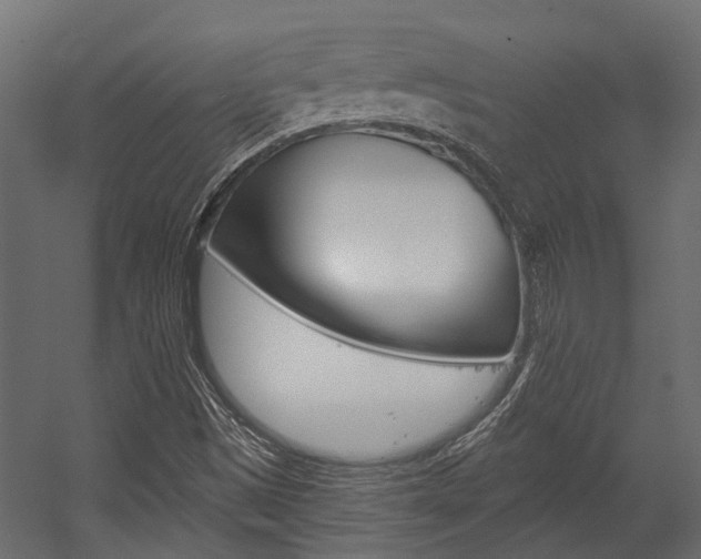 X0000054461497200507291007