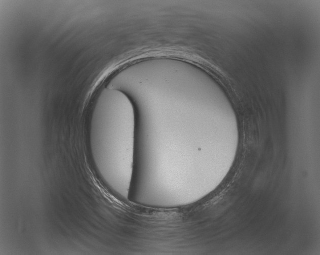 X0000054461498200507291007