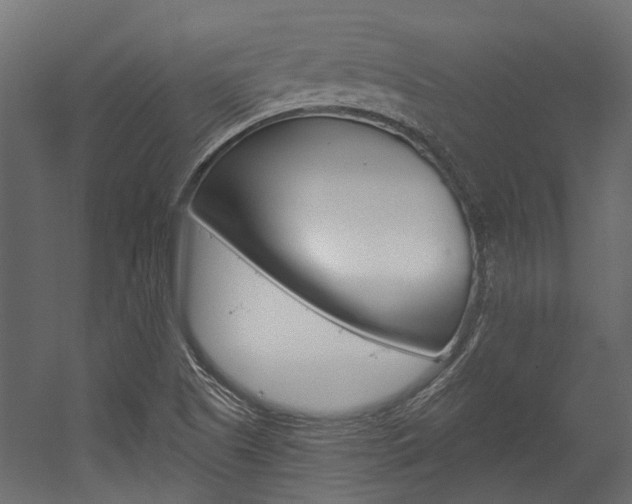X0000054461505200507291008