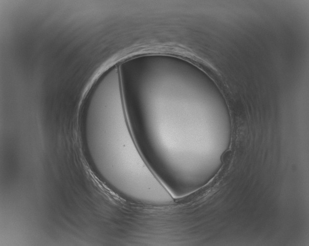 X0000054461506200507291008