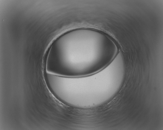 X0000054461508200507291008