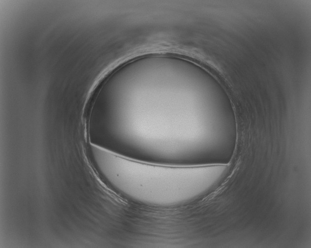 X0000054461509200507291008