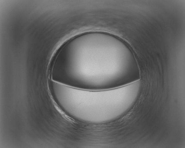 X0000054461511200507291008