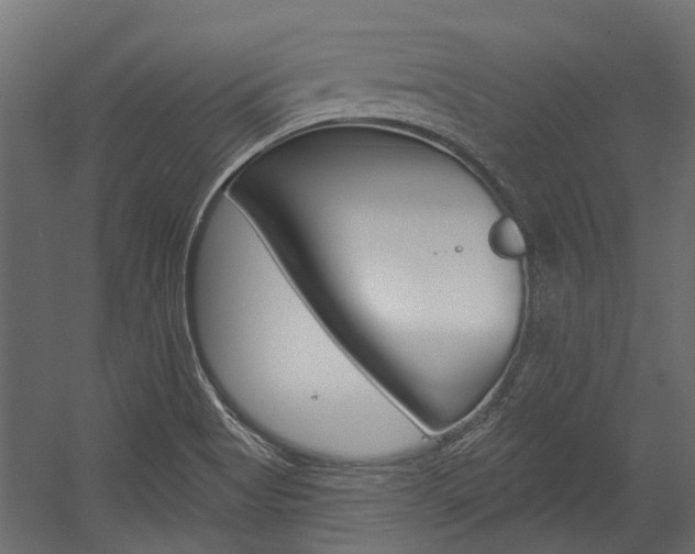 X0000054461513200507291008