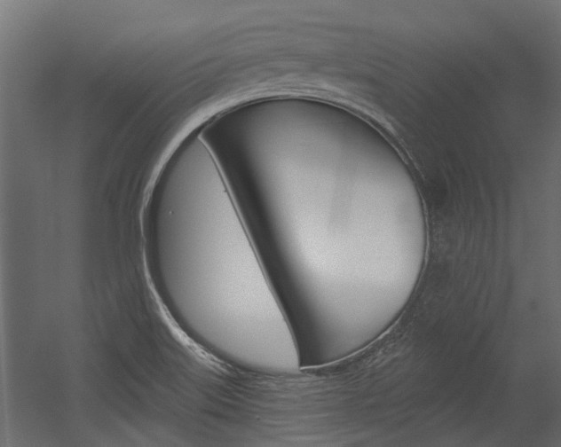 X0000054461515200507291008