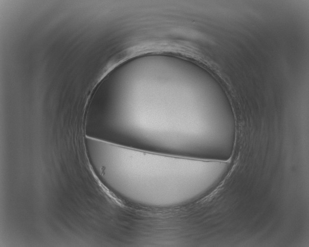 X0000054461521200507291008