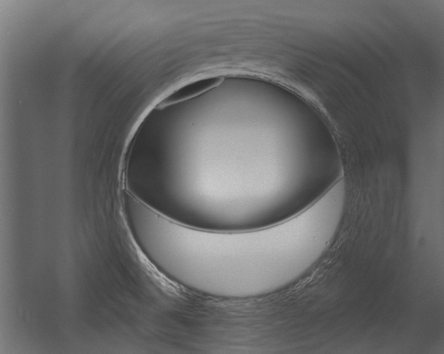 X0000054461524200507291008