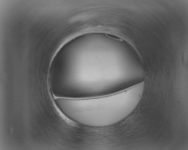 X0000054461531200507291008