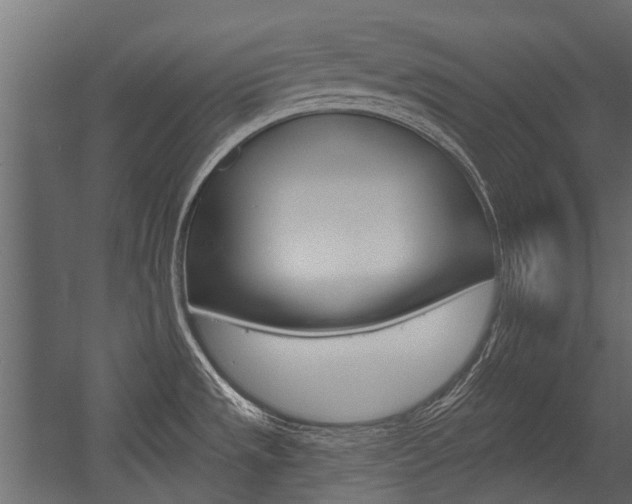 X0000054461533200507291008