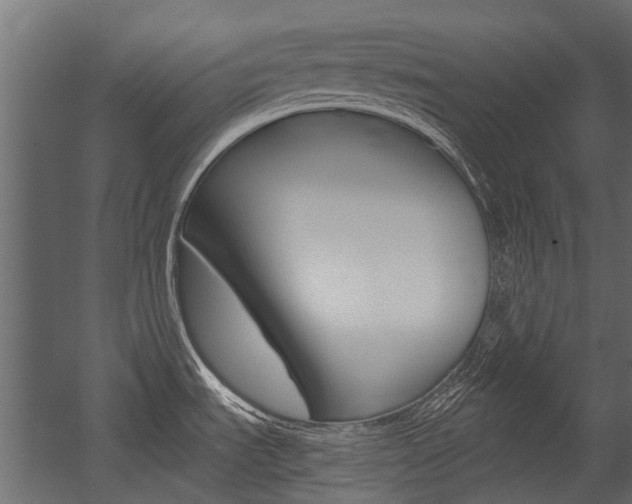 X0000054461535200507291008