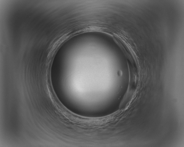 X0000054460001200507291400