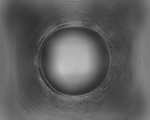 X0000054460002200507291400